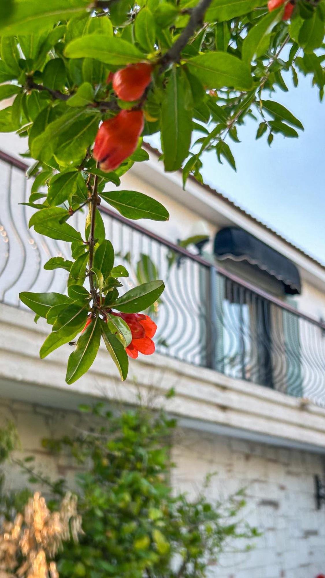 N Hotels Cesme Dalyankoy  Exterior foto