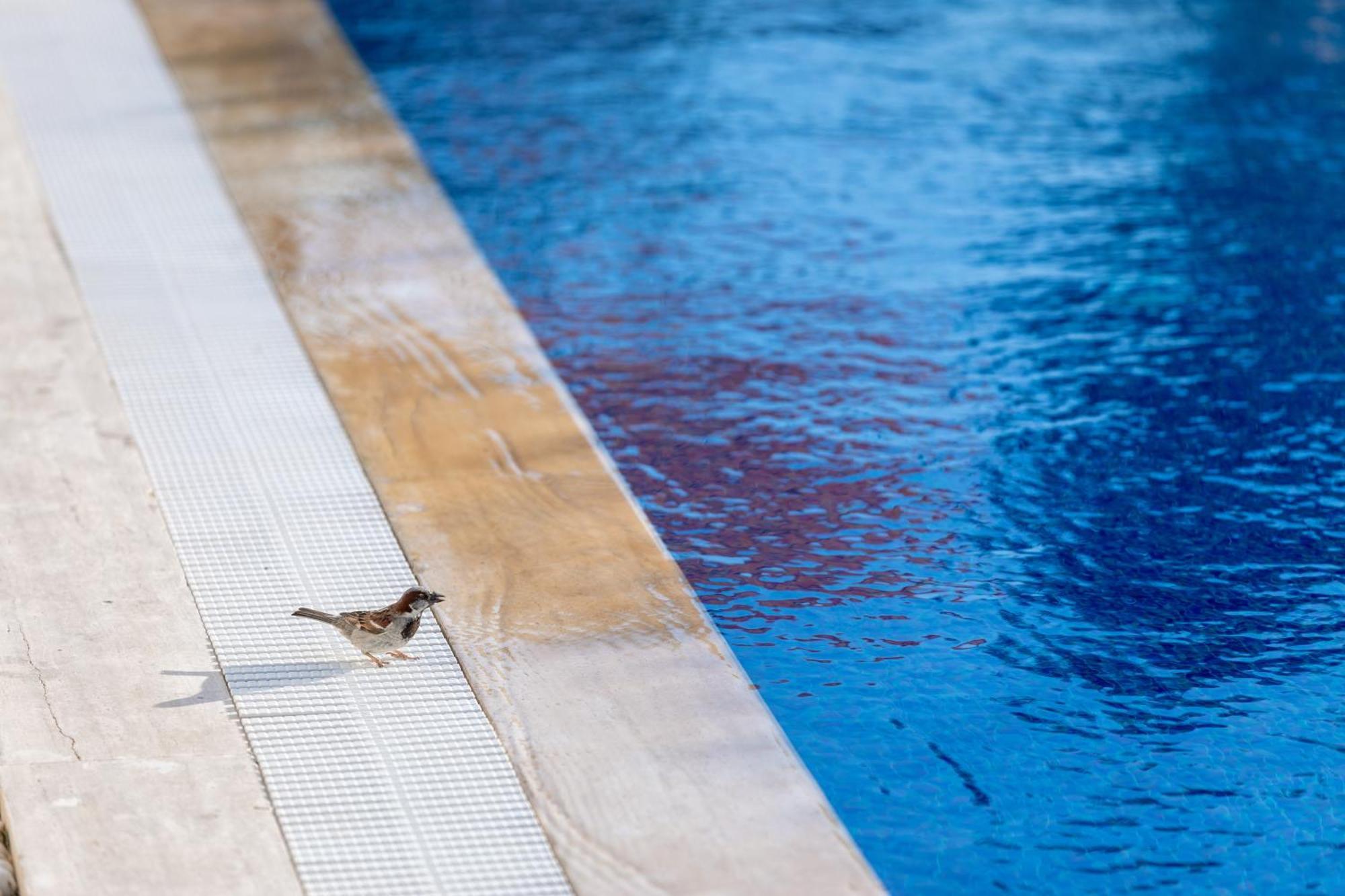 N Hotels Cesme Dalyankoy  Exterior foto